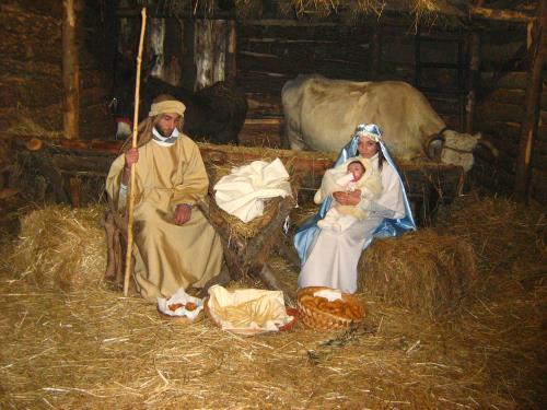 PRESEPE VIVENTE